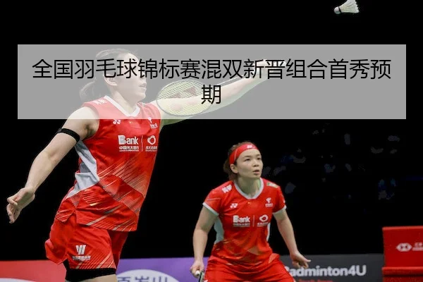 quan-guo-yu-mao-qiu-jin-biao-sai-hun-shuang-xin-jin-zu-he-shou-xiu-yu-qi-2-371.jpg